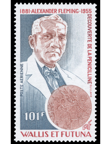 Wallis 105 Poste Aérienne