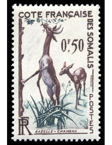 Cote des Somalis 289