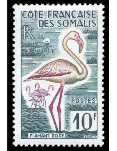 Cote des Somalis 297