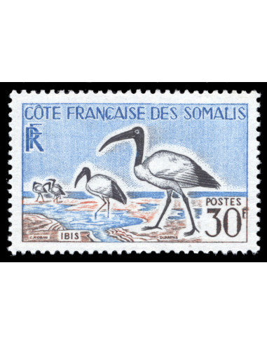 Cote des Somalis 301