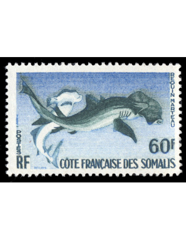 Cote des Somalis 302