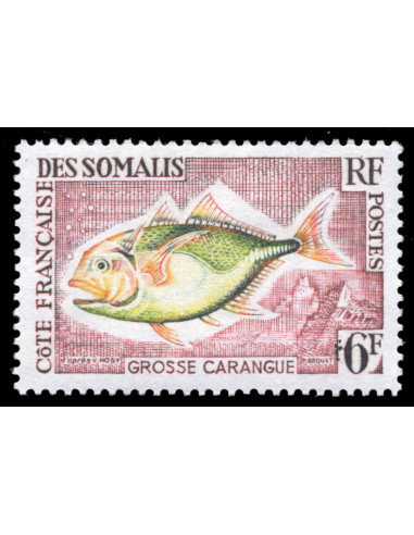 Cote des Somalis 307