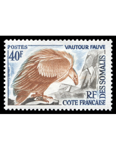 Cote des Somalis 309