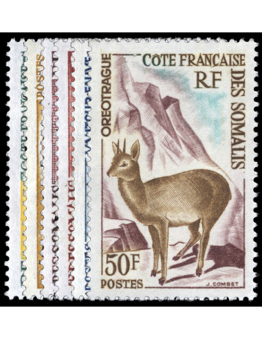 Cote des Somalis 305/310