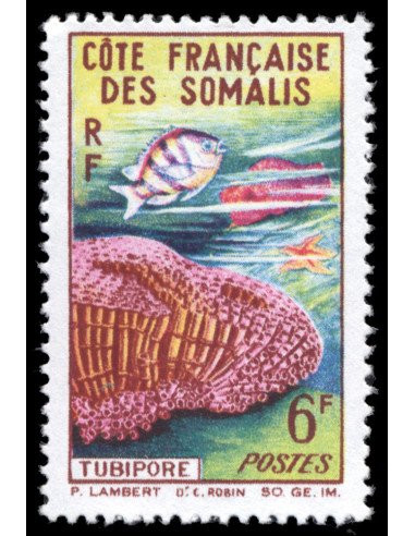 Cote des Somalis 317