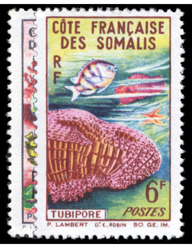 Cote des Somalis 316/317