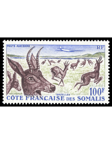 Cote des Somalis PA 26