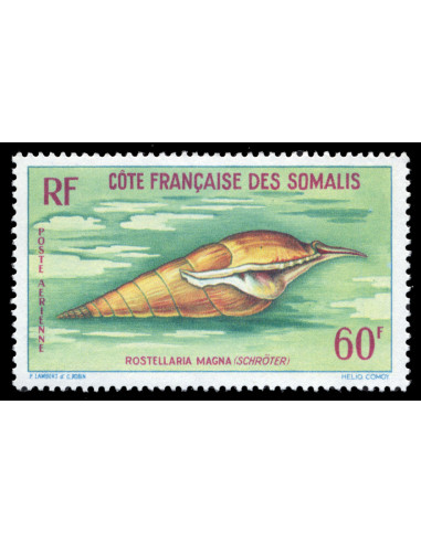 Cote des Somalis PA 31