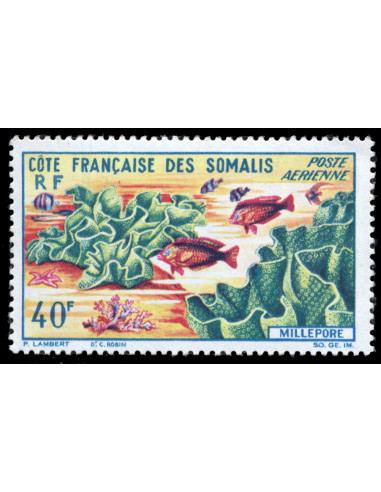 Cote des Somalis PA 34