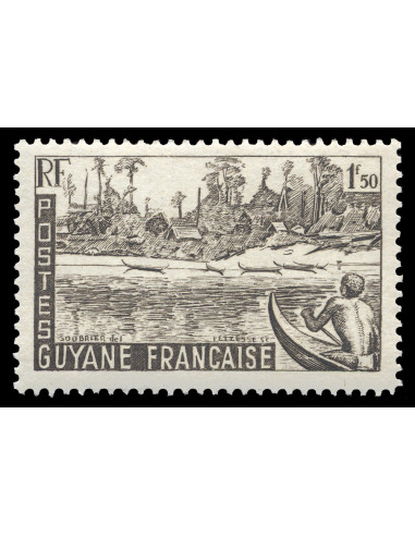 Guyane 206