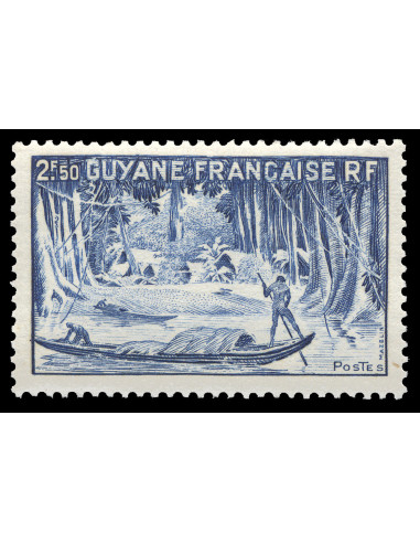 Guyane 208