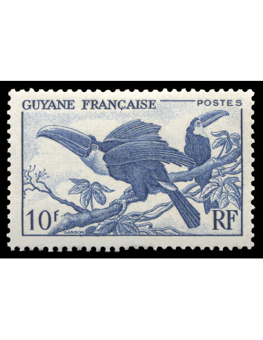 Guyane 213
