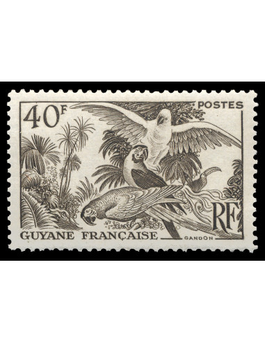 Guyane 217